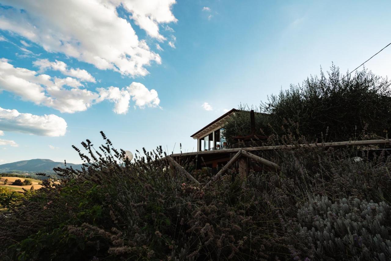 Il Pozzo Country House Collescipoli Εξωτερικό φωτογραφία