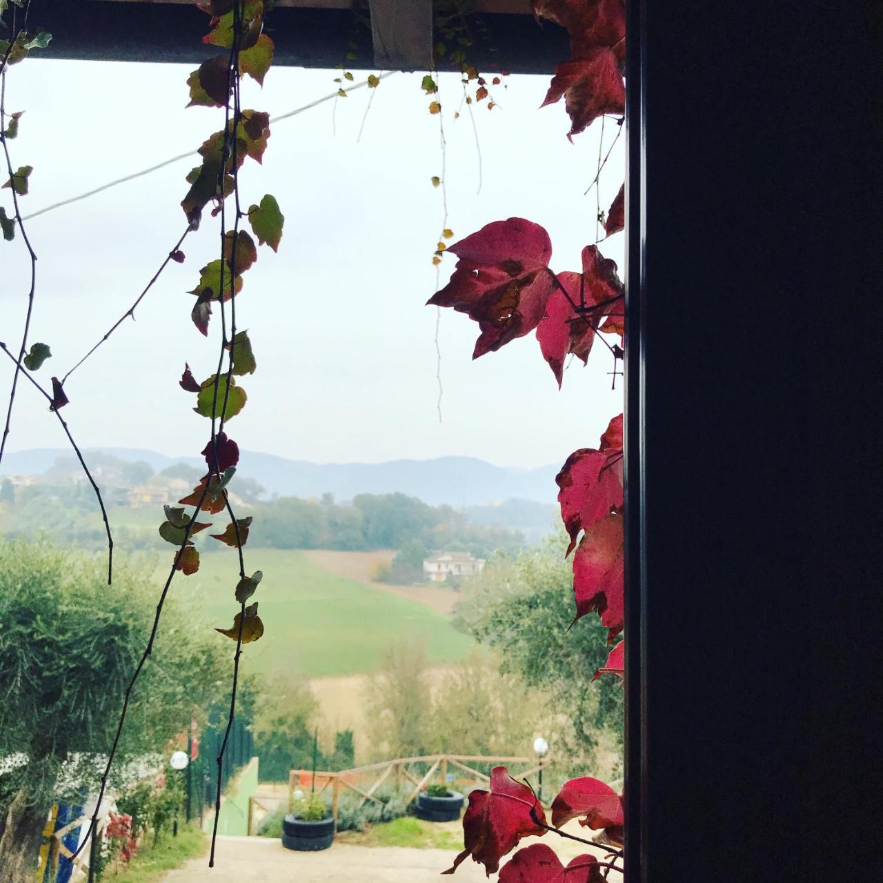 Il Pozzo Country House Collescipoli Εξωτερικό φωτογραφία