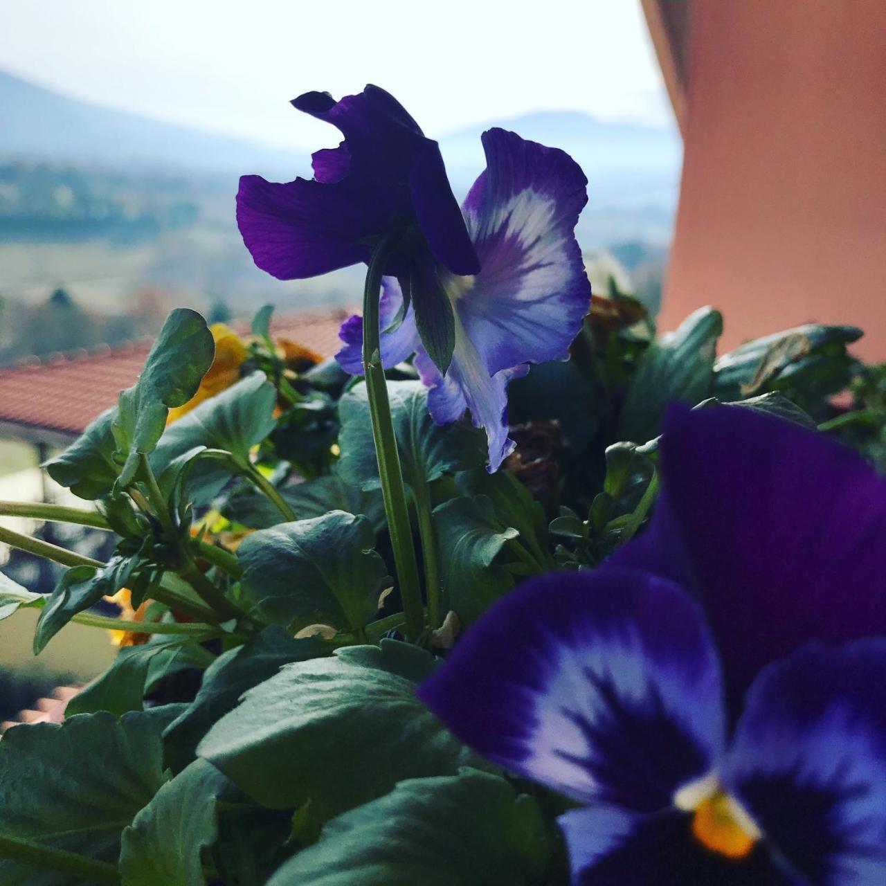 Il Pozzo Country House Collescipoli Εξωτερικό φωτογραφία